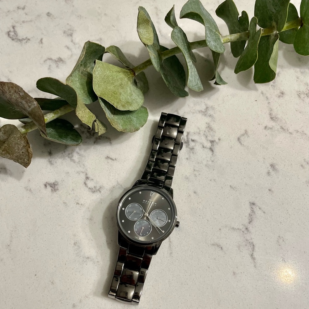 Skagen 990SMMX Women's Watch (Used)